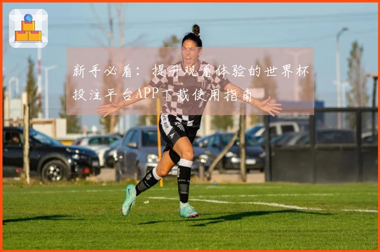 新手必看：提升观看体验的世界杯投注平台APP下载使用指南