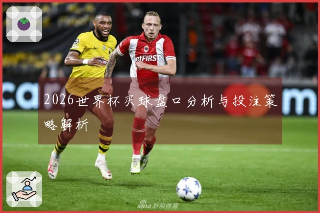2026世界杯买球盘口分析与投注策略解析