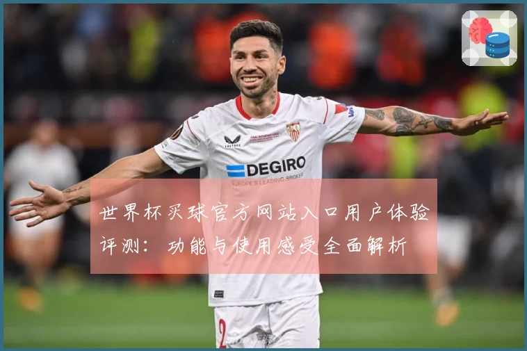 世界杯买球官方网站入口用户体验评测：功能与使用感受全面解析