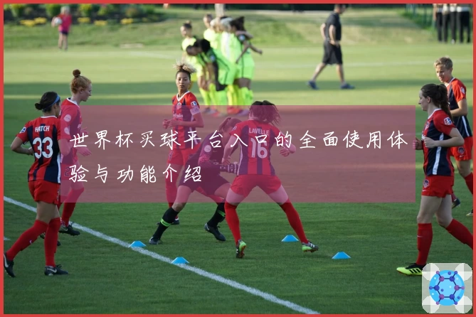 世界杯买球平台入口的全面使用体验与功能介绍