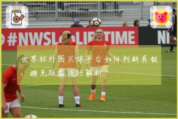 世界杯外围买球平台如何判断真假，避免踩雷技巧解析