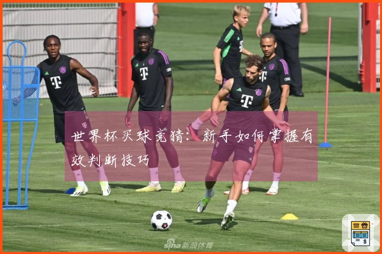 世界杯买球竞猜：新手如何掌握有效判断技巧
