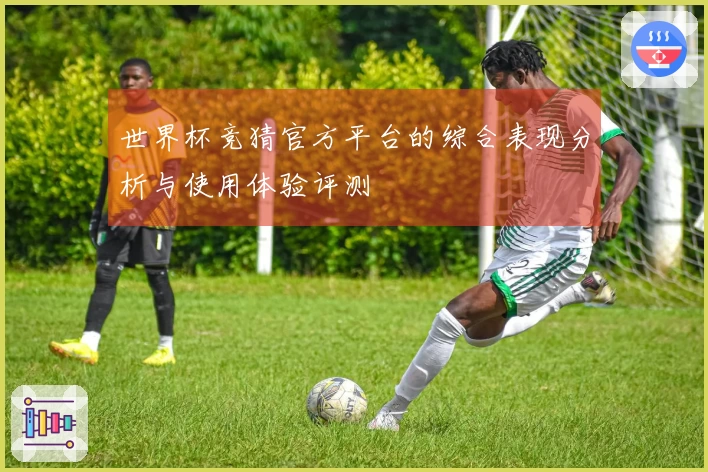 世界杯竞猜官方平台的综合表现分析与使用体验评测