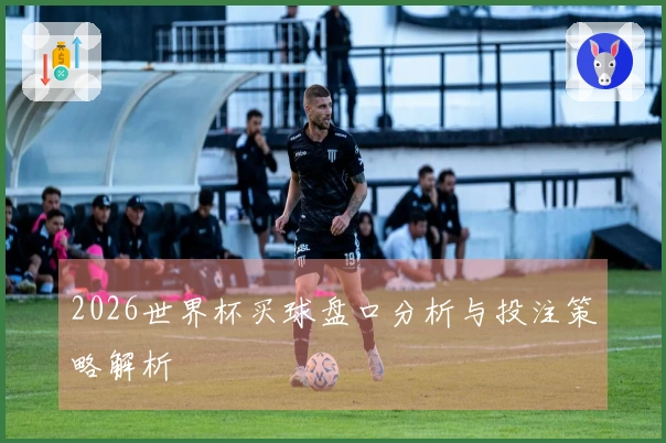 2026世界杯买球盘口分析与投注策略解析