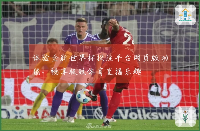 体验全新世界杯投注平台网页版功能，畅享极致体育直播乐趣