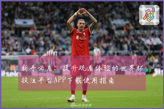 新手必看：提升观看体验的世界杯投注平台APP下载使用指南