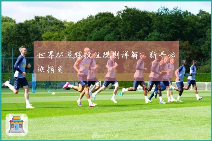 世界杯滚球投注规则详解：新手必读指南