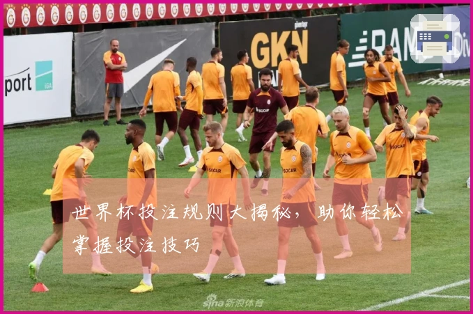 世界杯投注规则大揭秘，助你轻松掌握投注技巧